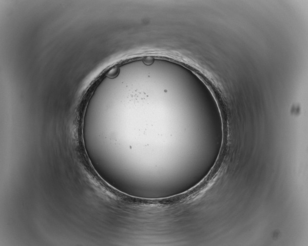 X0000100381502200806131048