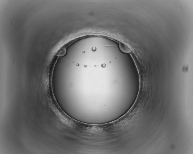 X0000100381503200806131048