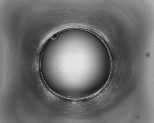 X0000100381504200806131048
