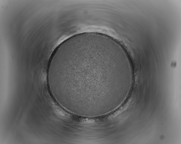 X0000100381505200806131048