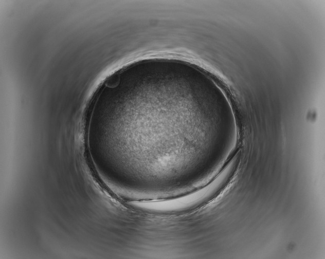 X0000100381506200806131048