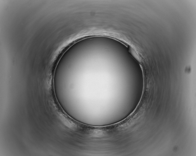 X0000100381507200806131048