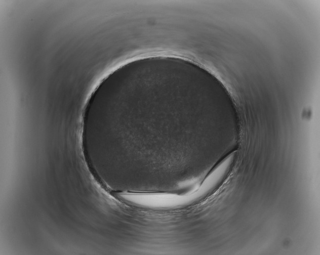 X0000100381508200806131048