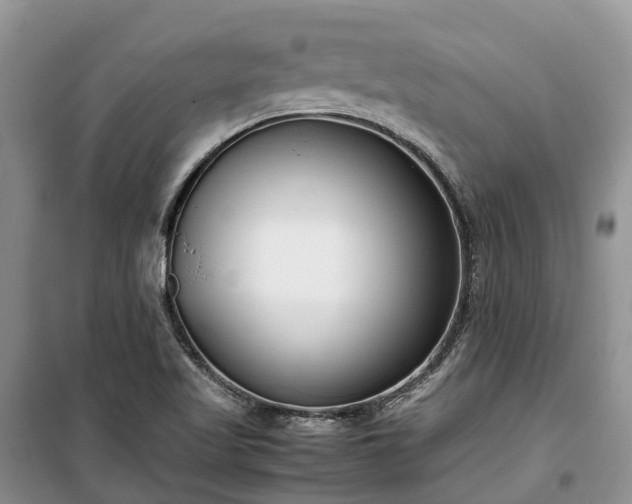 X0000100381509200806131048