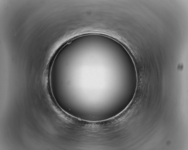 X0000100381511200806131048