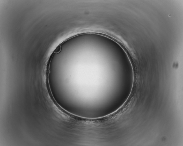 X0000100381512200806131048