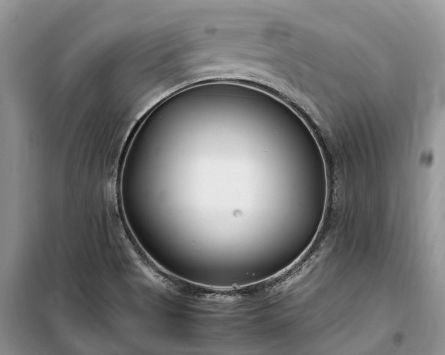 X0000100381513200806131048