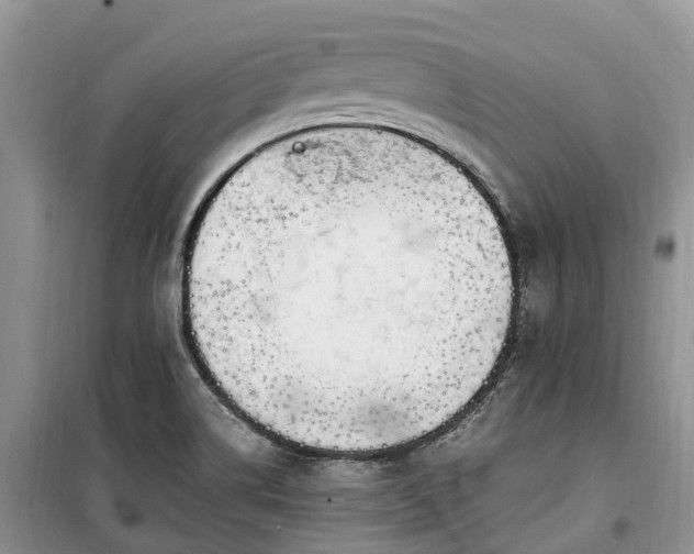 X0000100381514200806131048