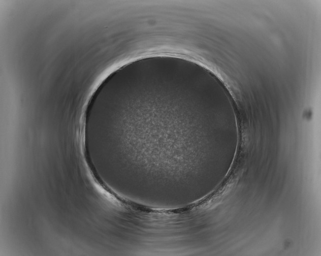 X0000100381515200806131048