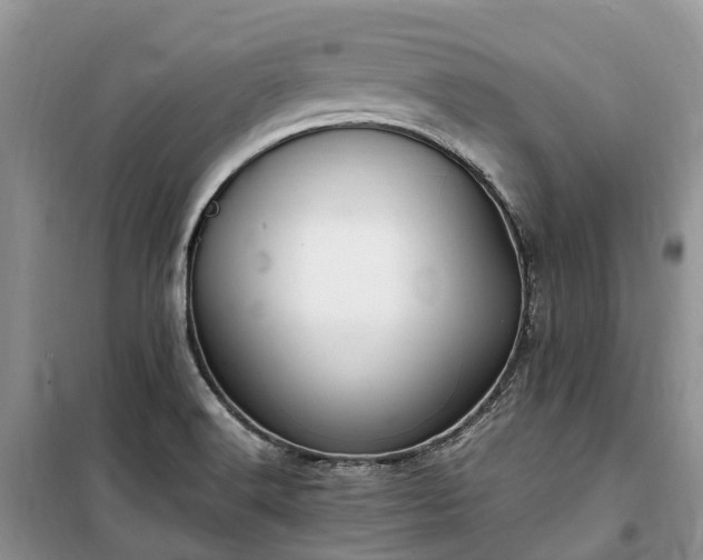 X0000100381516200806131048