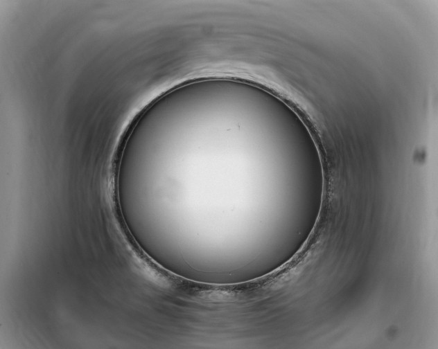 X0000100381517200806131048