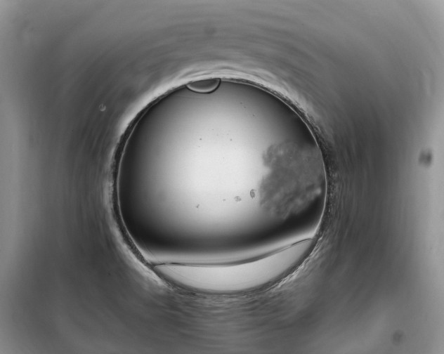 X0000100381518200806131048