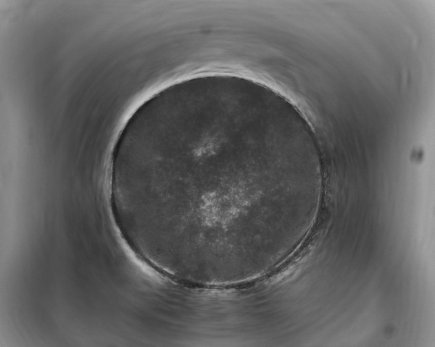 X0000100381519200806131048