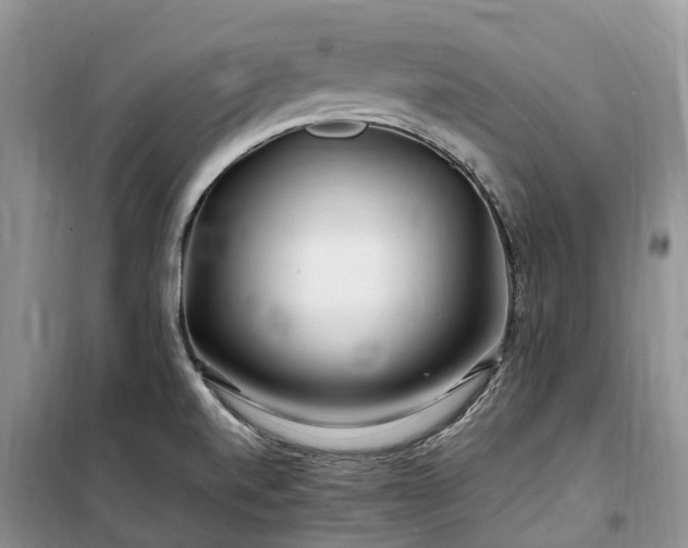X0000100381520200806131048