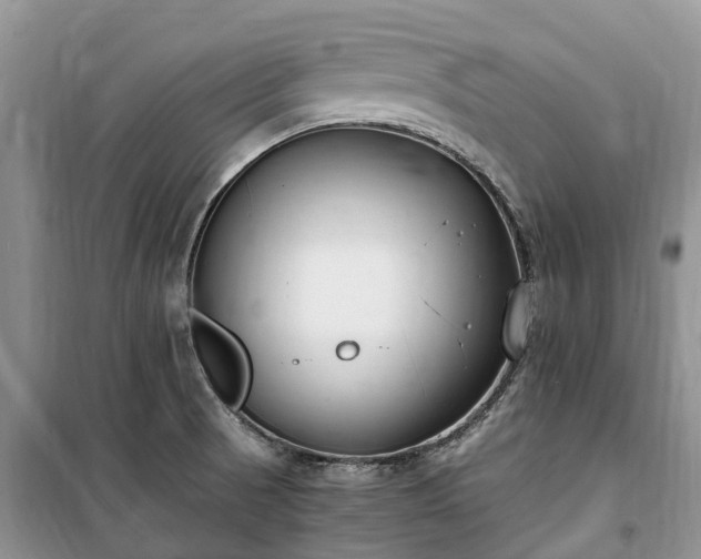 X0000100381521200806131048
