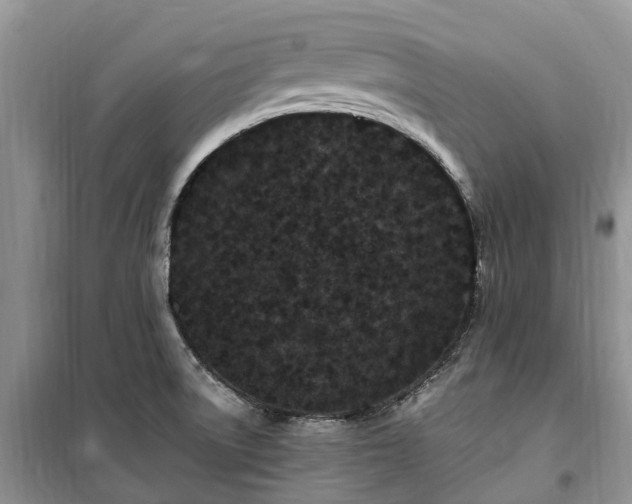 X0000100381522200806131048
