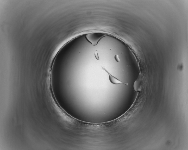 X0000100381524200806131048