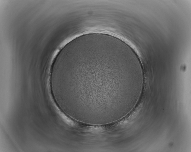 X0000100381525200806131048