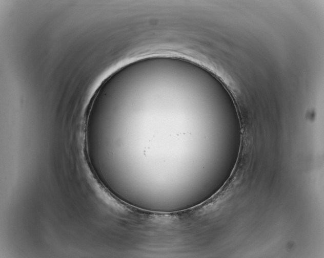 X0000100381526200806131048