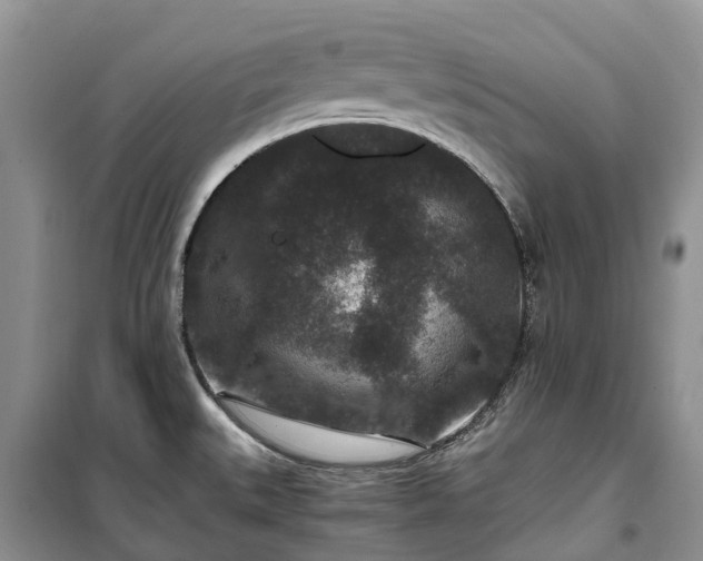 X0000100381527200806131048