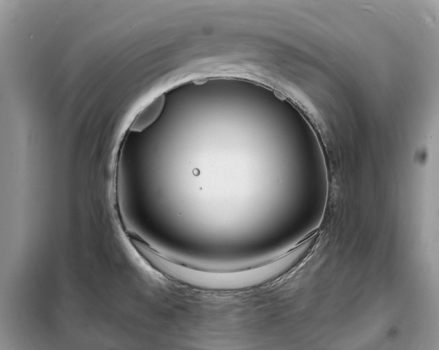 X0000100381528200806131048
