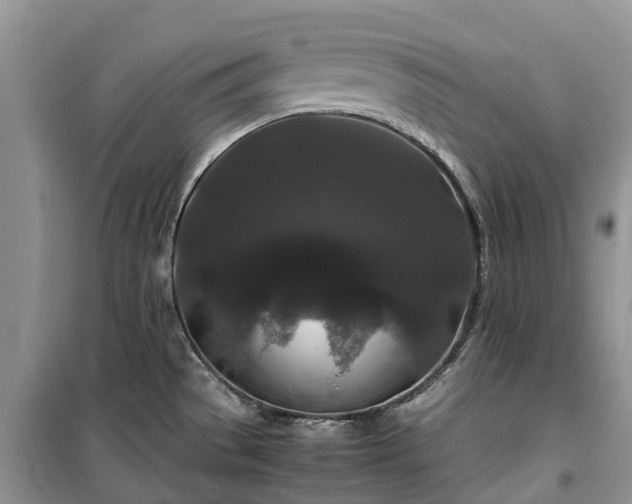X0000100381529200806131048