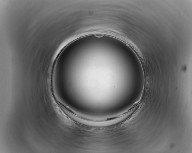 X0000100381530200806131048