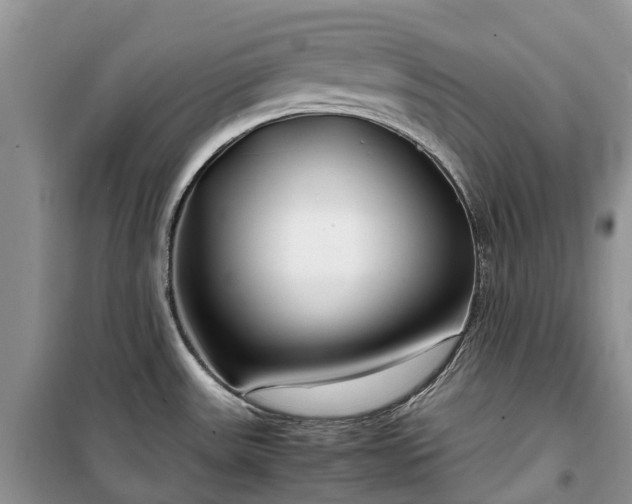 X0000100381531200806131048