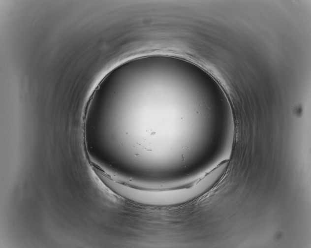 X0000100381532200806131048