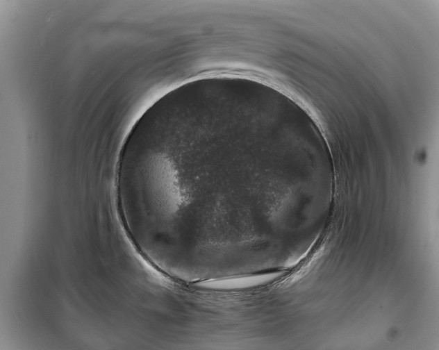 X0000100381533200806131048