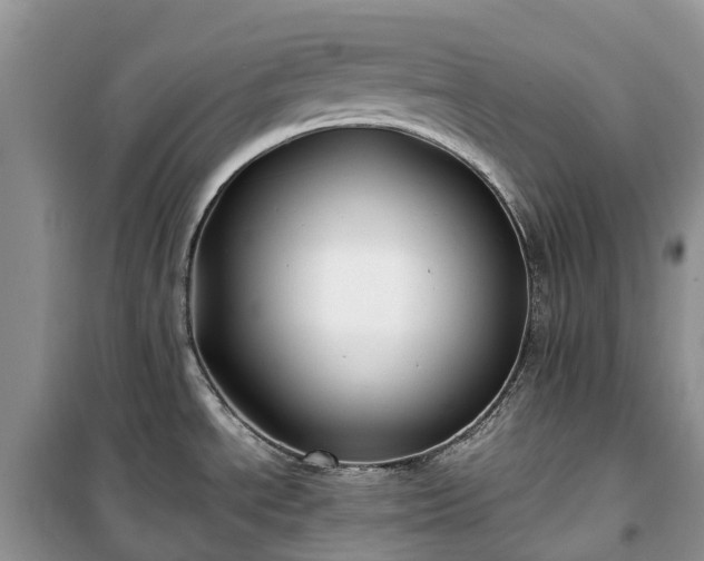 X0000100381534200806131048