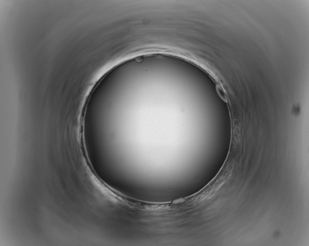 X0000100381535200806131048