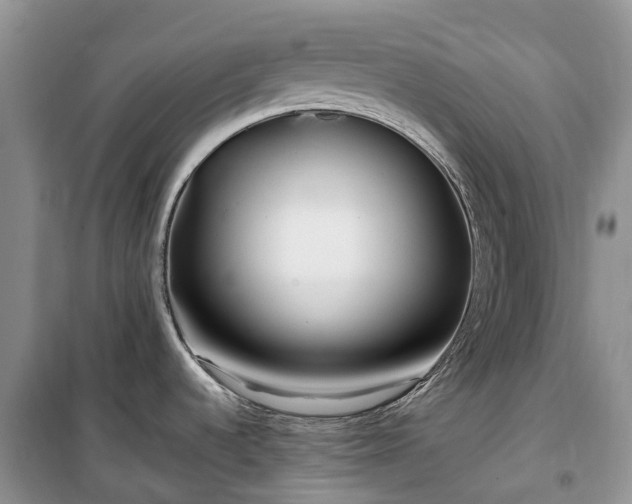 X0000100381536200806131048