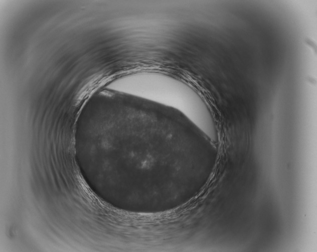 X0000100380002200806201701