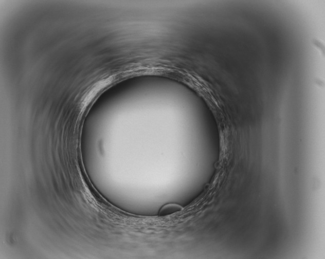 X0000100380003200806201701