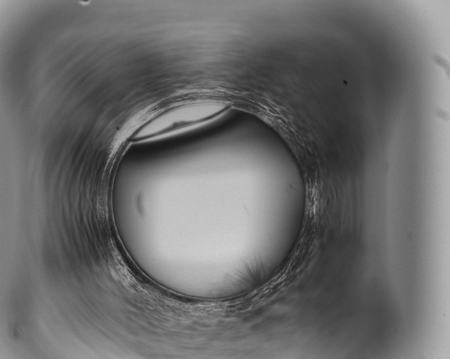 X0000100380004200806201701