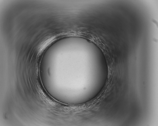 X0000100380005200806201701