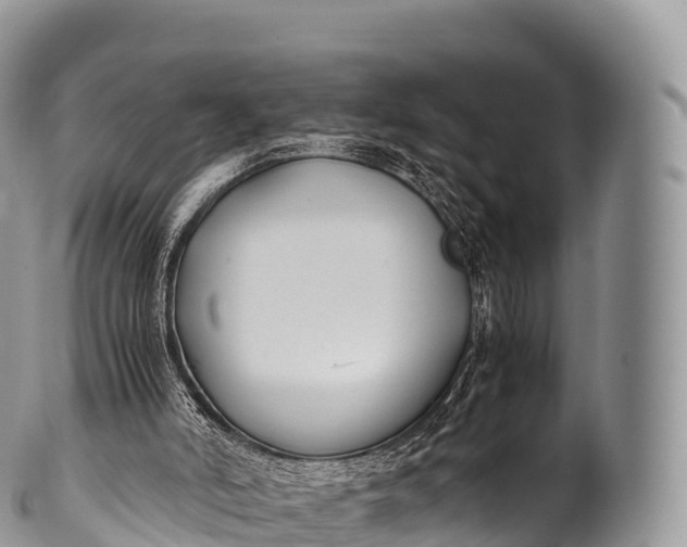 X0000100380006200806201701