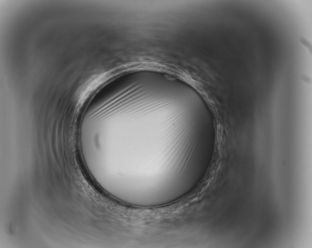 X0000100380007200806201701