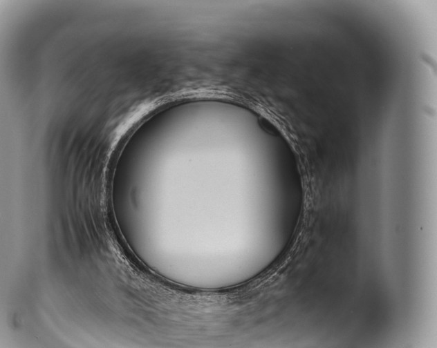 X0000100380008200806201701