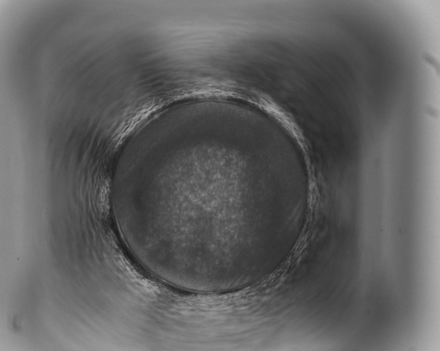 X0000100380009200806201701