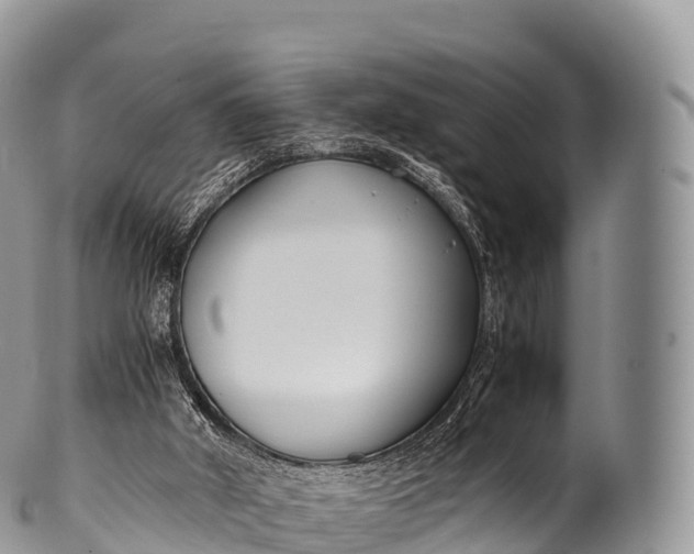 X0000100380010200806201701