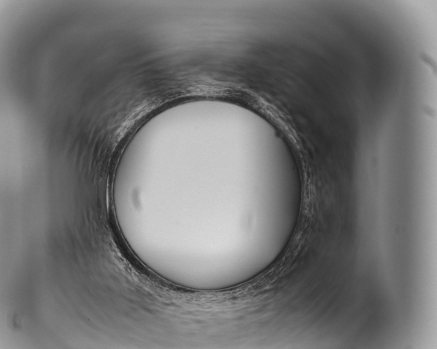 X0000100380011200806201701