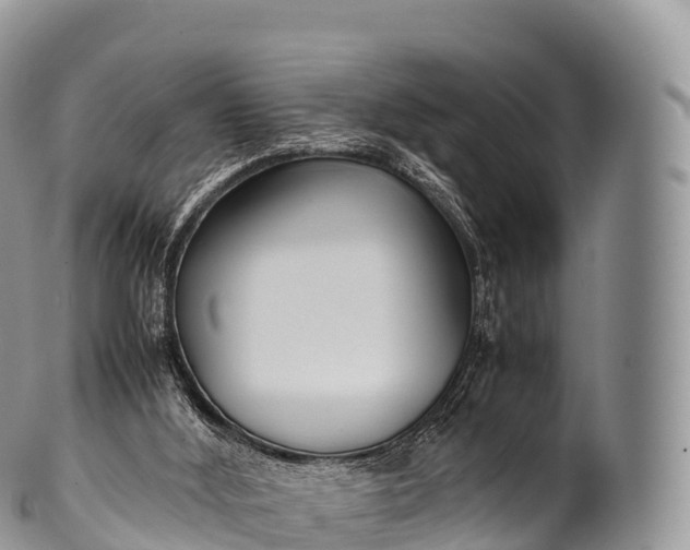 X0000100380012200806201701