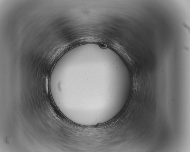 X0000100380014200806201701