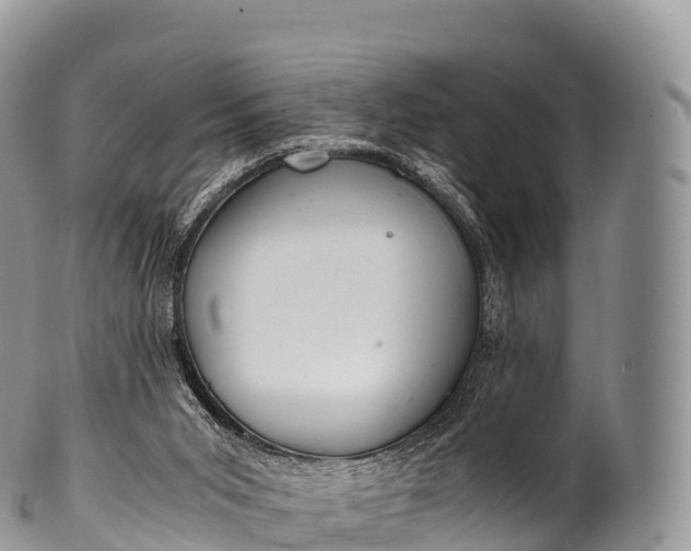 X0000100380015200806201701