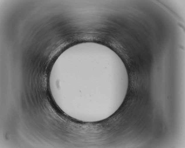 X0000100380016200806201701