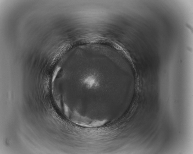 X0000100380018200806201701