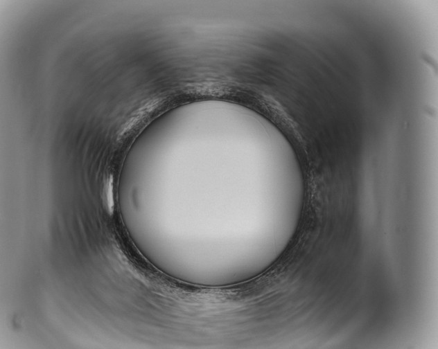 X0000100380020200806201701