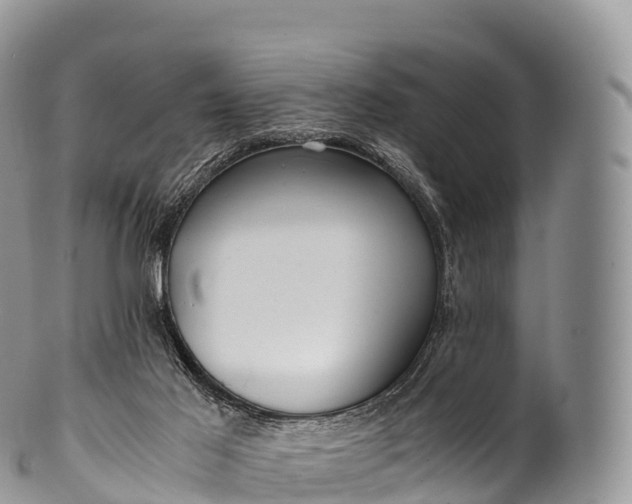 X0000100380021200806201701